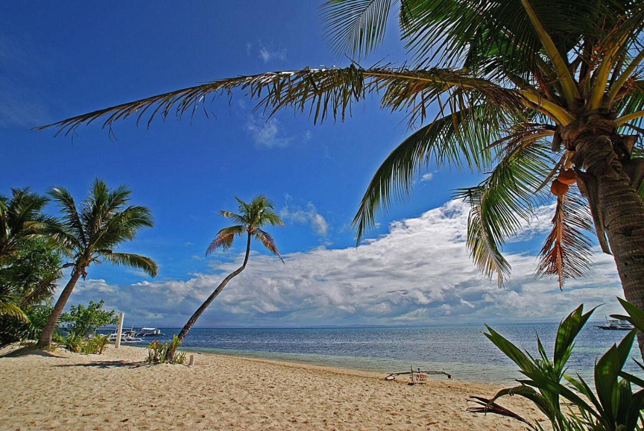 Malapascua Exotic Island Dive Resort Daanbantayan 外观 照片